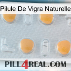 Natural Vigra Pill 24